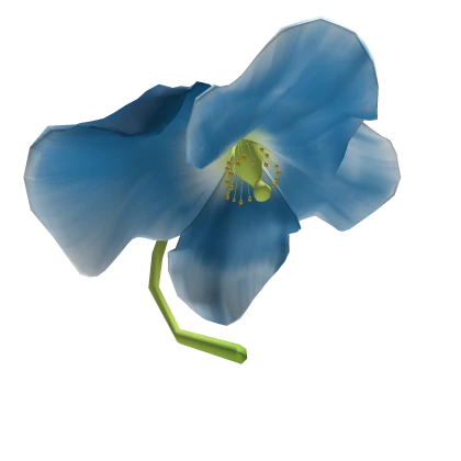 Poppy flower parasol