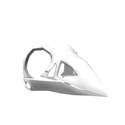 Corvid Skull - White
