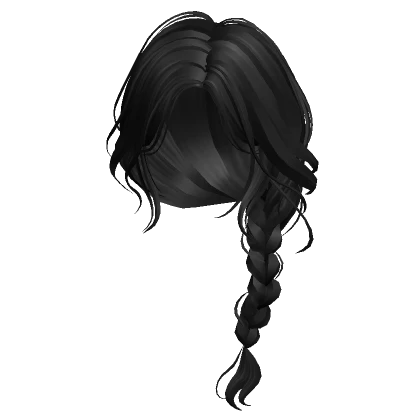 Braided Ponytail(Black)