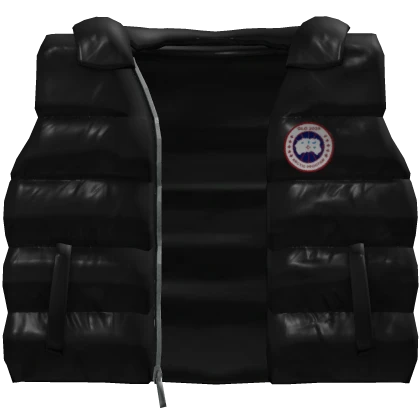 Canada Goose Original Winter Bubble Vest - Black
