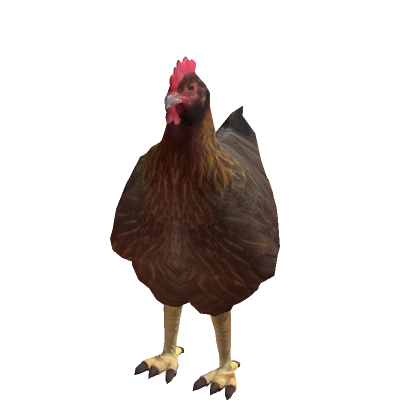 Realistic Chicken Costume