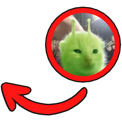 alien kitten pointing red circle meme gnarpy