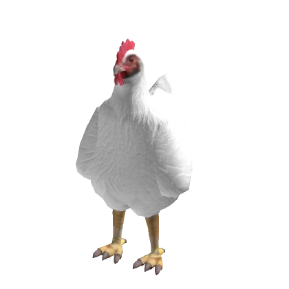 White Realistic Chicken Costume