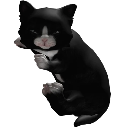 Sleepy Cute Black Cat Kitten Left Shoulder (3.0)