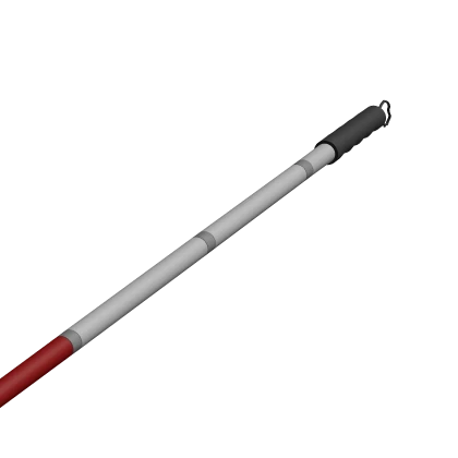 Blind Lawyer's Walking Stick