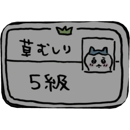 Chiikawa Hachiware licence