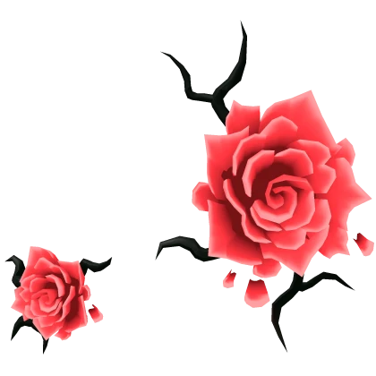 Rose Face Infection - Red