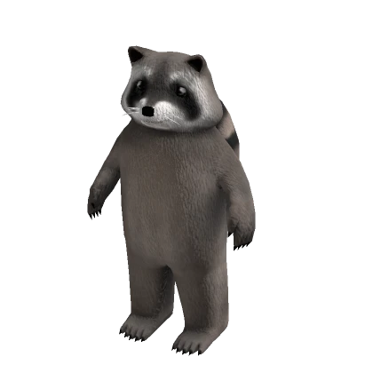 Raccoon Suit