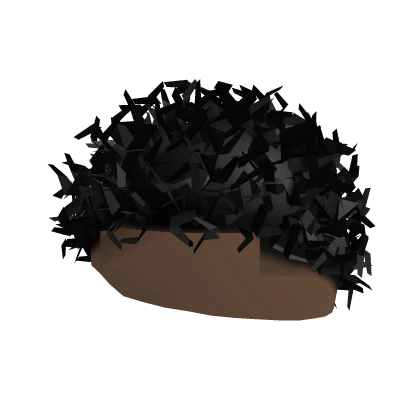 Short Curly Black Hair 