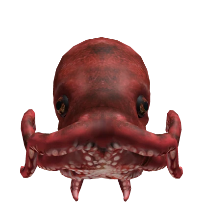 Octopus Head