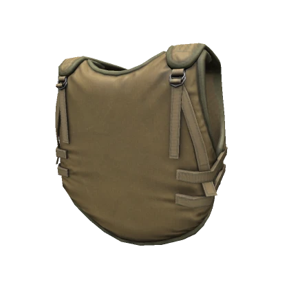 6B2 Tan Body Armor