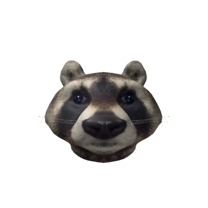 Realistic Raccoon Head