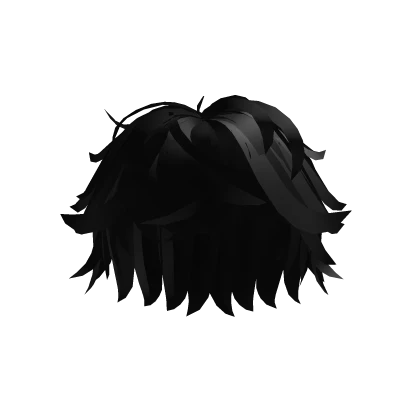 Black Textured Fluffy Hair
