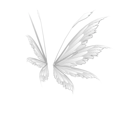 Transparent White Angel Fairy Wings
