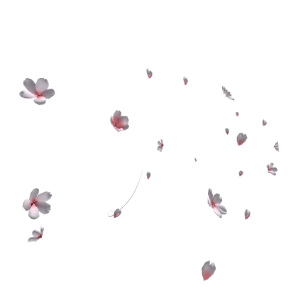 Sakura Aura