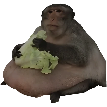 Big Monkey with Cabbage