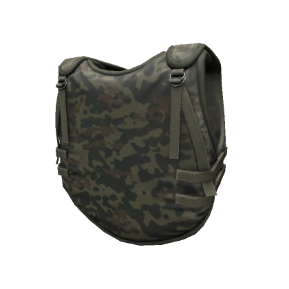 6B2 Camo Body Armor