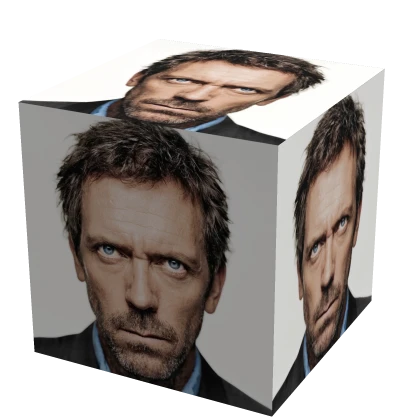 Biggest House Box