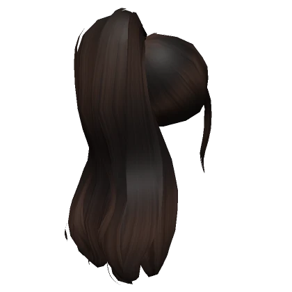 Dark Brown Silky High Ponytail