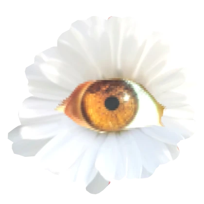 weirdcore daisy eye