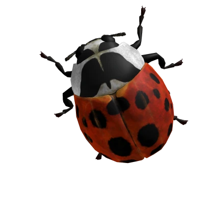 Cute Ladybug 🐞 Animal Walking On Your Face