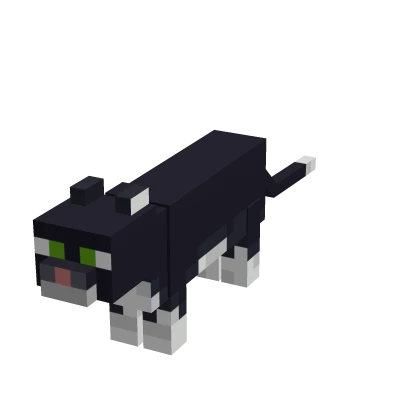 Mini Cat Suit