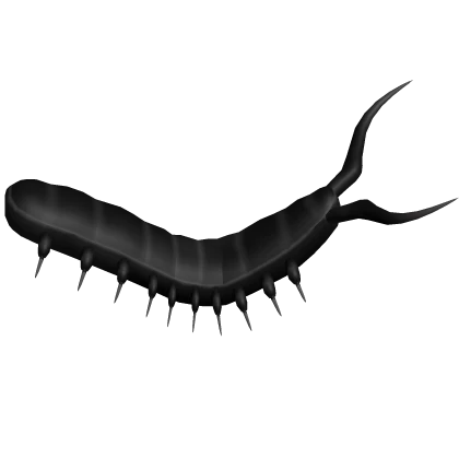 Black Centipede Tail