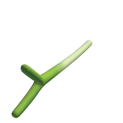 Leek