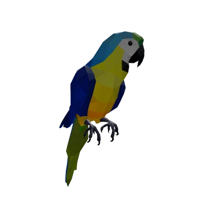 macaw 💛💙 parrot jungle JOIN GROUP