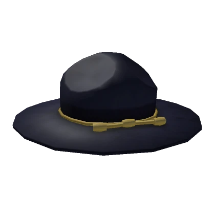 Deputy Hat