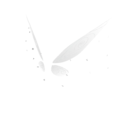 ✨ Full White Tinkerbell Pixie Wings