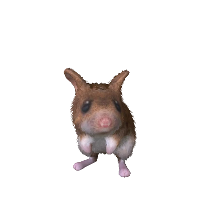 Fluffy Mouse