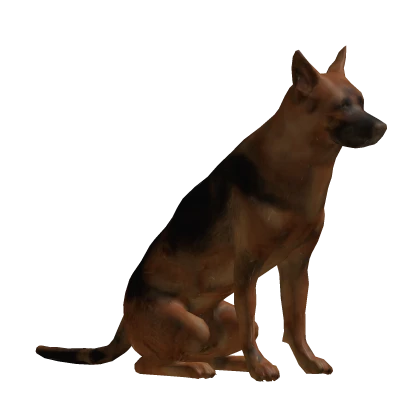 ✅ Dog