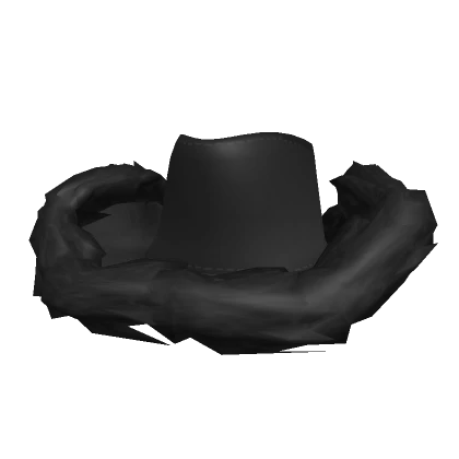 Black Fluffy Cowboy Hat