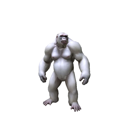 Albino Gorilla