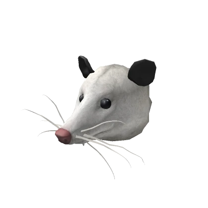 Opposum Head