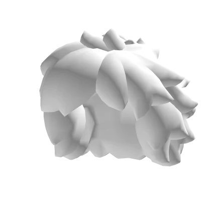 Fluffy Hair (White)