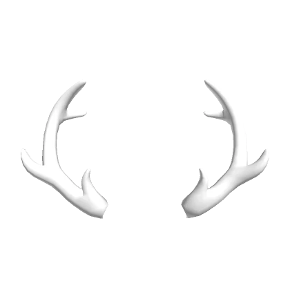 Deer Antlers - White