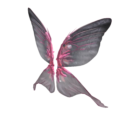 Adult Faerie Wings