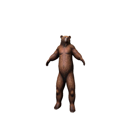 Brown Bear