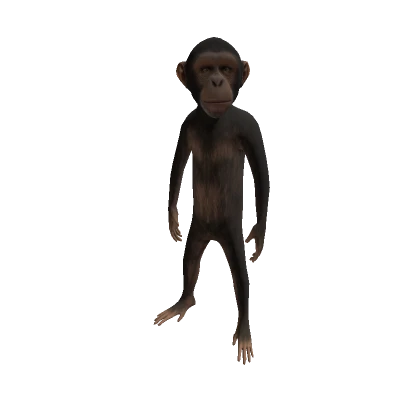 Epic Monkey