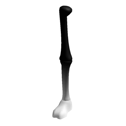 Black White Skelly Right Leg