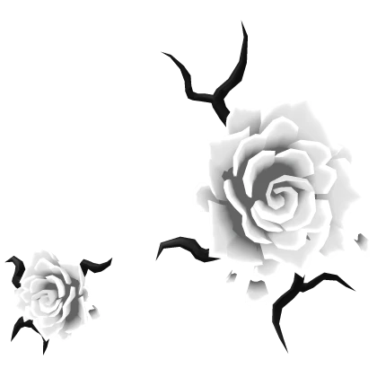 Rose Face Infection - White