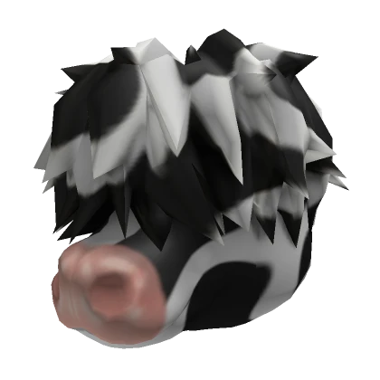 Black & White Highland Cow Head