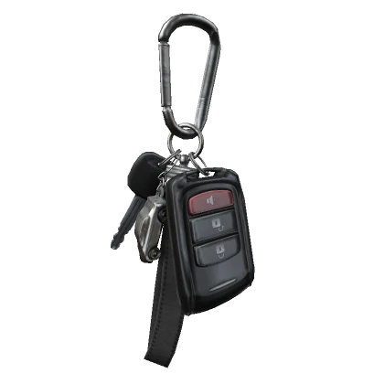 Car Keys Keychain Black Lanyard