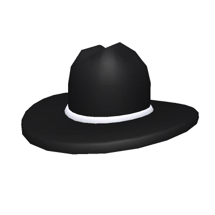 Black Stetson Hat