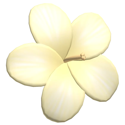 ♡ yellow summer hibiscus flower