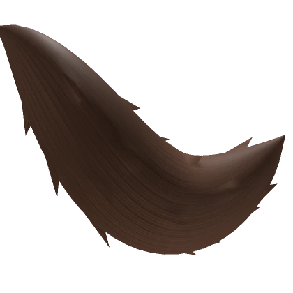 Brown  Fox Tail