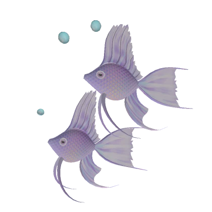 Purple Angelfish