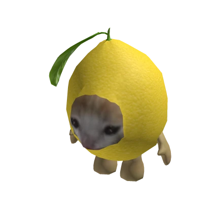 Lemon El Gato Fruit Food Cat Suit